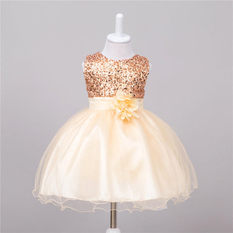 Baby Sequin Dress, Flower Girl Wedding Princess Dress